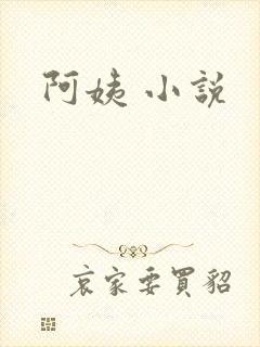 阿姨 小说
