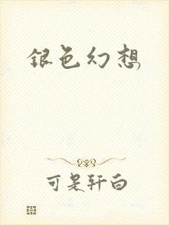 银色幻想封面