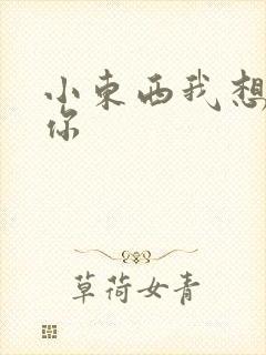 小东西我想弄坏你