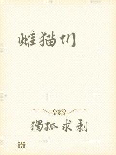 雌猫们