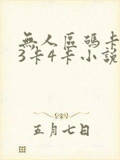 无人区码卡二卡3卡4卡小说