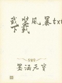 武装风暴txt下载