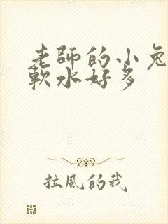 老师的小兔子好软水好多