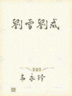 刘雪刘成封面