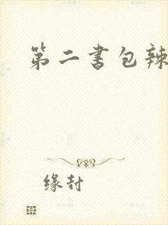 第二书包辣文封面