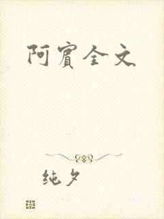 阿宾全文