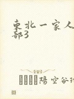东北一家人第一部3封面