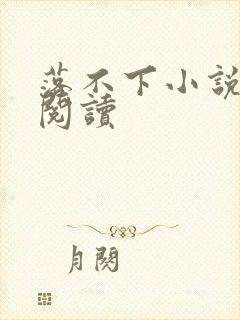 落不下小说免费阅读