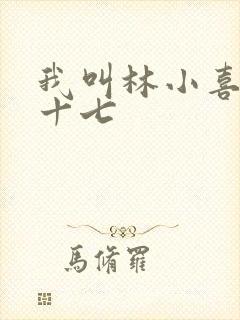 我叫林小喜今年十七