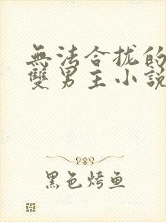 无法合拢的总裁双男主小说