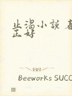 止渴小说 春光正好