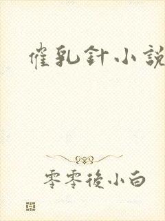 催乳针小说封面