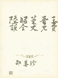 陆昭菱晋王的小说全文免费阅读