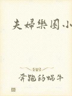 夫妇乐园小说封面