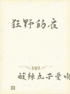 狂野的夜封面