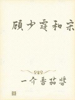顾少霆和宋斯曼封面