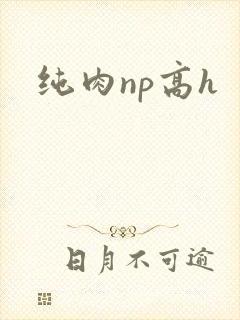 纯肉np高h