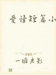 爱情短篇小说封面