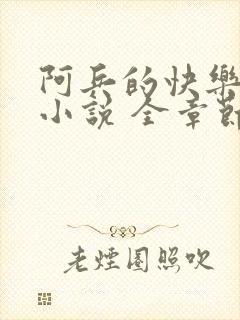 阿兵的快乐生活小说 全章节阅读免费封面