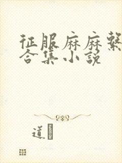 征服麻麻系列大合集小说封面