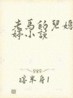 老马的儿媳顾婉婷小说封面