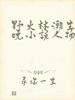 野火林潮生林晚晚小说人物野火封面