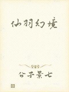 仙羽幻境封面