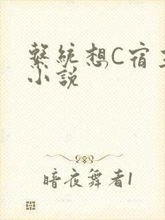 系统想C宿主的小说