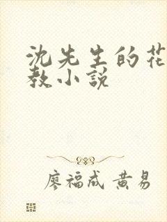 沈先生的花式管教小说