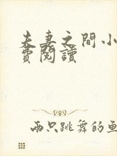 夫妻之间小说免费阅读