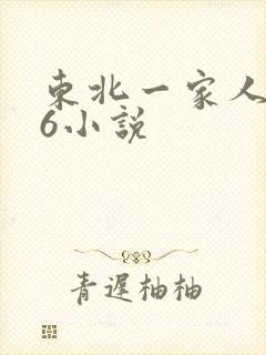 东北一家人1一6小说