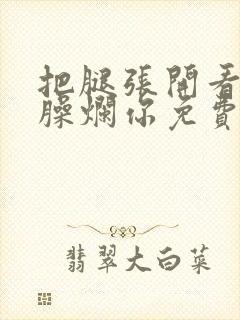 把腿张开看老子臊烂你免费