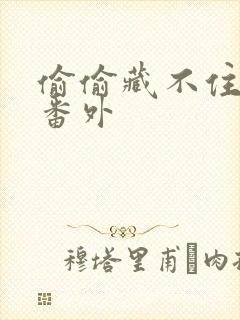 偷偷藏不住新婚番外