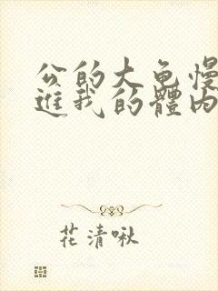 公的大龟慢慢挺进我的体内