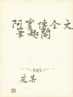 阿宾传全文阅读 笔趣阁