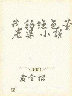 我的绝色董事长老婆 小说