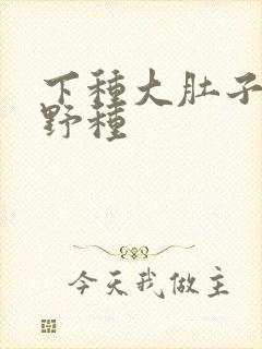 下种大肚子怀孕野种