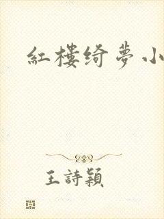 红楼绮梦小说封面