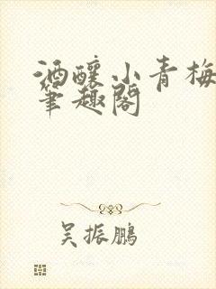 酒酿小青梅po笔趣阁