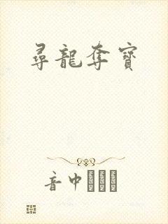 寻龙夺宝