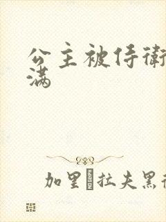 公主被侍卫填的满封面