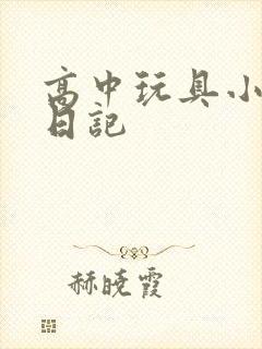 高中玩具小诗的日记