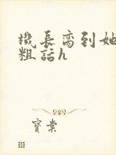 机长脔到她哭h粗话h