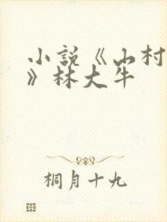 小说《山村情事》林大牛