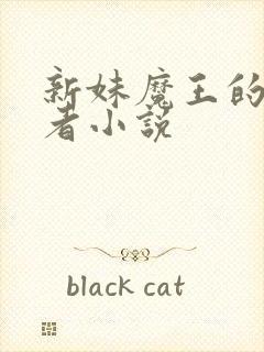 新妹魔王的契约者小说