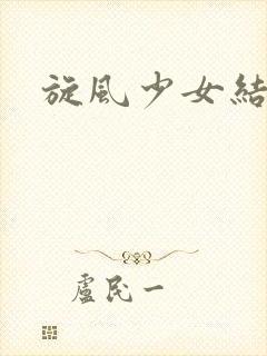 旋风少女结局封面