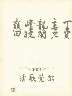 巅峰龙主丁长顺田晓兰免费阅读