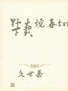 野火烧春txt下载