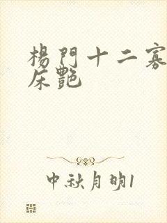 杨门十二寡妇肉床艳