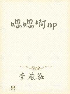 嗯嗯啊np
